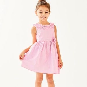Lilly Pulitzer Seersucker Georgina Dress 6